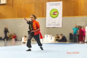 wushu-meisterschaft-20192.